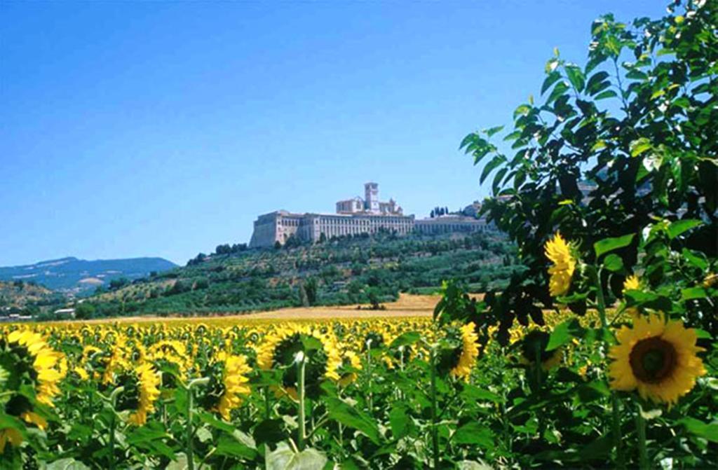 Hotel Cristallo Assisi Esterno foto